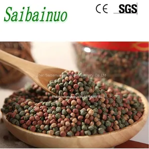 Sinking Floating Fish Feed Making Machine thumbnail-4