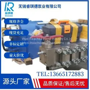 1500bar Paint & Rust Removing Pump,high Pressure Water Jet Pump WP2D-S thumbnail-1