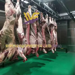 CE Approved Cow Killing Box Hydraulic Platform Overhead Rail Conveyor System Halal Cattle Abattoir Complete Installation thumbnail-4