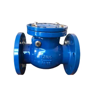 DIN PN16 Duction Cast Iron Body Flang Swing Non Return Check Valve thumbnail-1