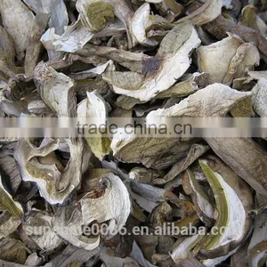 White Porcini Mushroom Dried Boletus Price With High Quality thumbnail-4