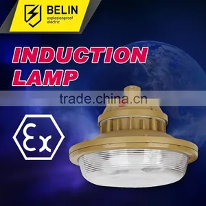 Waterproof and Dustproof Anti-corrosion Lamp Without Maintenance thumbnail-1