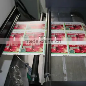 Pharmaceutical Package Printing Machine - WJLZ-350 thumbnail-4