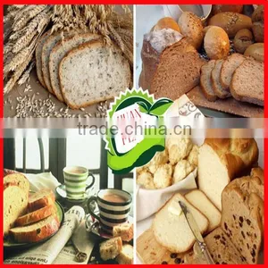 China HALAL Health Food! Wheat Germ thumbnail-4