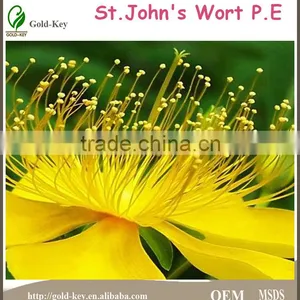 St. John's Wort P.E With Uv 0.3% St of Health Food for Best Selling thumbnail-2