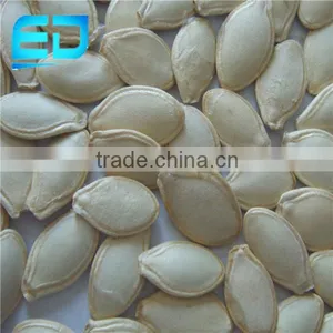 Shine Skin Pumpkin Seeds From Heilongjiang thumbnail-1
