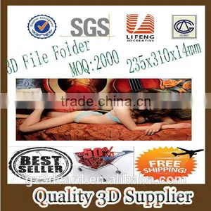 Guangzhou Lifeng 3D Customized Beautiful PP File Folder thumbnail-1