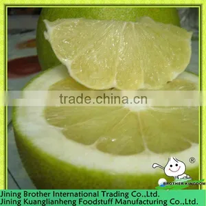 China Honey Pomelo Exporter thumbnail-1