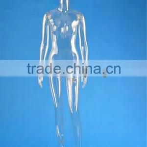 Full Body Transparent Mannequin thumbnail-1