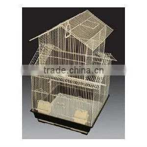 Big Bird Cage thumbnail-1