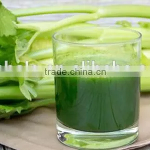 Fruit Pulp Extractor Machine on Sale thumbnail-3