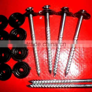 Lesotho Market Twisted Nails thumbnail-4