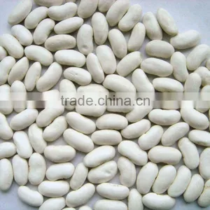 Kidney Beans,Chickpeas,Lentil,Alfalfa Beans thumbnail-1