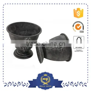Hot Sale Indoor Plants Ficus Microcarpa Bonsai thumbnail-1