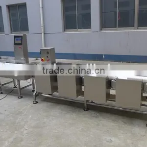 Weigh Conveyor thumbnail-3