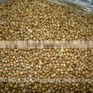 Coriander Seeds thumbnail-1