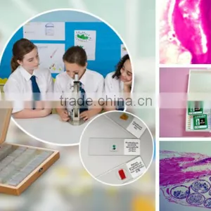 Students Training Chick Embryo Prepared Slides thumbnail-1