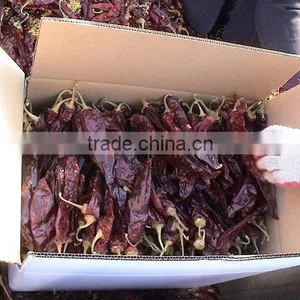 Sweet Paprika Pods thumbnail-1