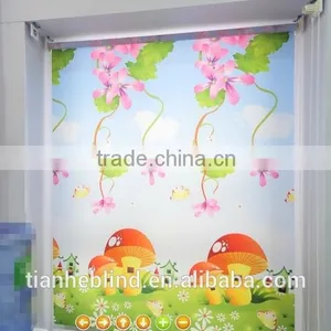 Blinds & Shutters thumbnail-3