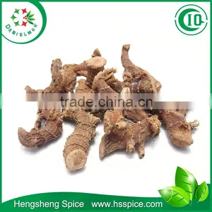 Chinese Galangal thumbnail-2
