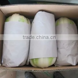 Cabbage 2012 for Buyer thumbnail-1