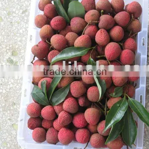 Fresh Litchi thumbnail-1