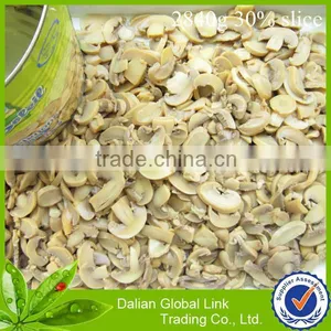 Champignon Mushrooms Price thumbnail-3