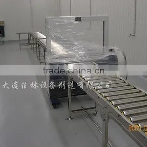 Single Chain Roller Conveyor thumbnail-1