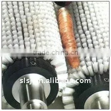 Brush Roller Carrots Peeling Machine thumbnail-1