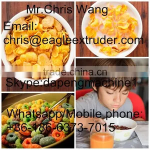 Puffed Cereals Machine/Extruder/Plant thumbnail-1