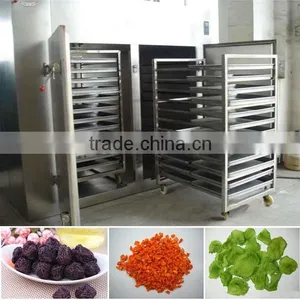 Small Capacity Grape Drying Oven/grape Dehydration Machine for Sale thumbnail-1