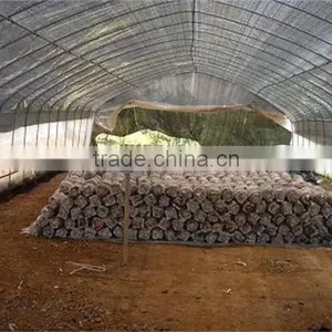 Hot Sale New Tunnel Type Mushroom Shed thumbnail-2