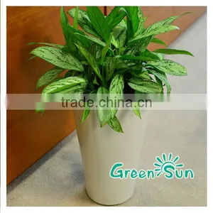 High Quality Plastic Starting Seeding Flower Pot thumbnail-2
