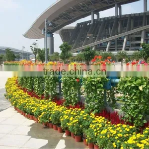 Festival Decoration Fence Decorative Plastic Plant Pots SL-XA5060 thumbnail-5