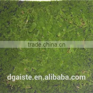 Man Made Thick Moss Carpet Moss Foam Products Flocking Wall thumbnail-2