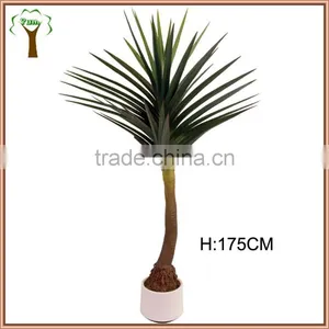 Artificial Octopus Plant for Indoor Decoration thumbnail-1