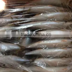 Organic Seafood,300-500g Frozen Mackerel Fish thumbnail-2