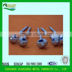 Hot Sale Galvanized Umbrella Roofing Nail 2.5" China Supplier Umbrella Head Roofing Nails thumbnail-3