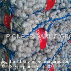 5.5cm And Up Red Garlic Loose Packing In 20kg Mesh Bag thumbnail-5