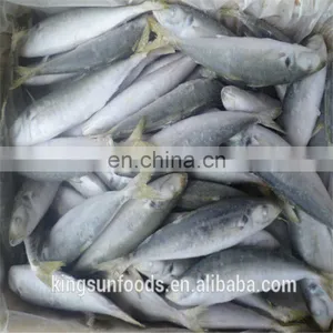 Frozen Breaded Horse Mackerel Fillet thumbnail-1
