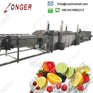 Automatic Fruit and Vegetable Washing and Drying Processing Line thumbnail-3