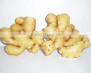 Ginger Powder thumbnail-1