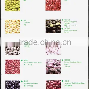 Hemp Seeds thumbnail-5