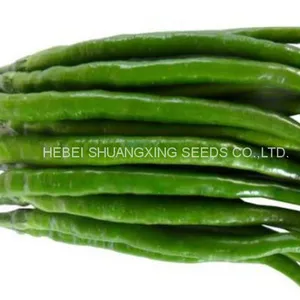 Green Thin And Long Hot Chili Pepper Seeds For Planting thumbnail-1
