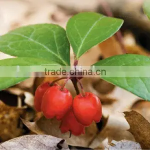 100% Pure Manufacturer Wholesale Winter Green Oil With the Reasonable Price thumbnail-3