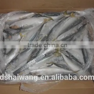 WR Frozen Pacific Mackerel Fish thumbnail-1