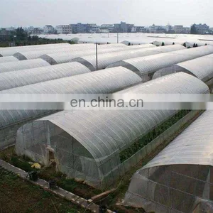40 Mesh UV Stabilized Anti Insect Net, Insect Proof Mesh Plastic Insect Net, Fine Mesh Keep Insect Out thumbnail-3