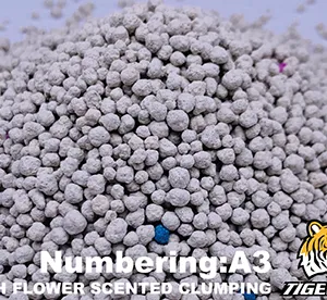 Dalian Songsen Products Co., Ltd. company overview - view 4 thumbnail