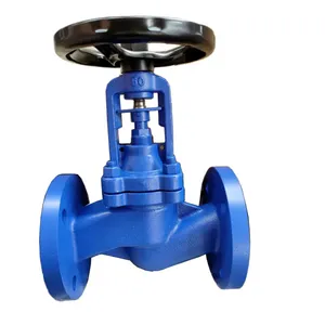 DIN DN50 DN65 PN25 PN16 Cast Iron Cast Steel WCB GG25 Flange Bellows Seal Globe Valve thumbnail-4