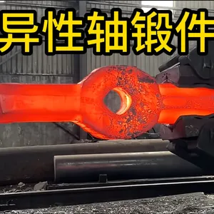 Custom Shaft Forgings | Forged Shaft Components | Factory Customization thumbnail-1